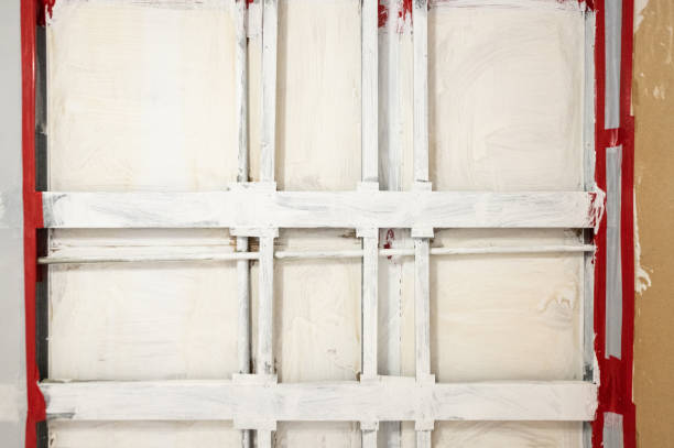 Best Attic Mold Removal  in Caledonia, MI