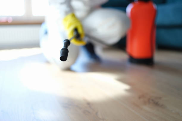 Best Residential Mold Inspection & Testing  in Caledonia, MI