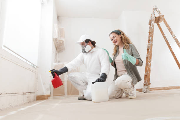 Best Environmental Consulting for Mold Prevention  in Caledonia, MI